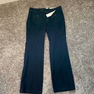 Ann Taylor LOFT Curvy Flare Jeans 8P